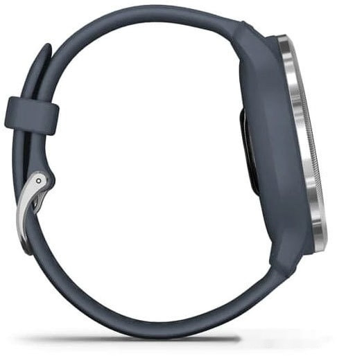 Умные часы Garmin Venu 2 (нержавеющая сталь/синий гранит)