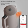 Электрический чайник Redmond SkyKettle KM231S (серо-коричневый)