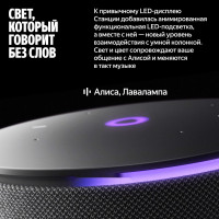 Умная колонка Яндекс Станция Мини 3 Про (серый)