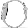 Умные часы Garmin Venu 2S (нержавеющая сталь/серый)