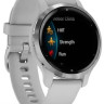 Умные часы Garmin Venu 2S (нержавеющая сталь/серый)