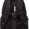 Рюкзак Grizzly RQ-310-1 (черный)