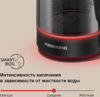 Электрический чайник Redmond KG259S (черный/тонировка)