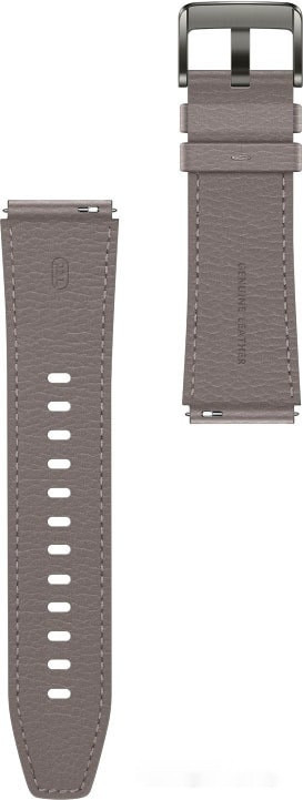 Умные часы Huawei Watch GT2 Pro (туманно-серый)