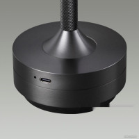 Настольная лампа Odeon Light Tet-A-Tet 5034/6TL