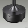 Настольная лампа Odeon Light Tet-A-Tet 5034/6TL