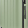 Чемодан-спиннер Ninetygo Danube MAX Luggage 24" (зеленый)