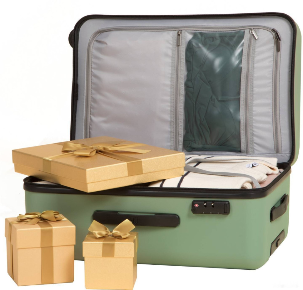 Чемодан-спиннер Ninetygo Danube MAX Luggage 24" (зеленый)