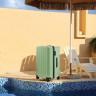 Чемодан-спиннер Ninetygo Danube MAX Luggage 24" (зеленый)