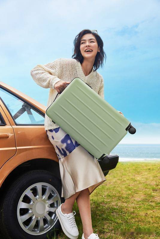 Чемодан-спиннер Ninetygo Danube MAX Luggage 24" (зеленый)