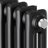 Радиатор Royal Thermo Insignia C2180 - 10 секций RAL9005m