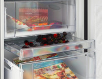 Морозильник NORD DF 168 BSP