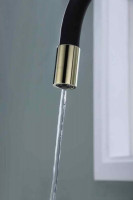 Смеситель Paulmark Salix Sa213419-G (черный/золото)