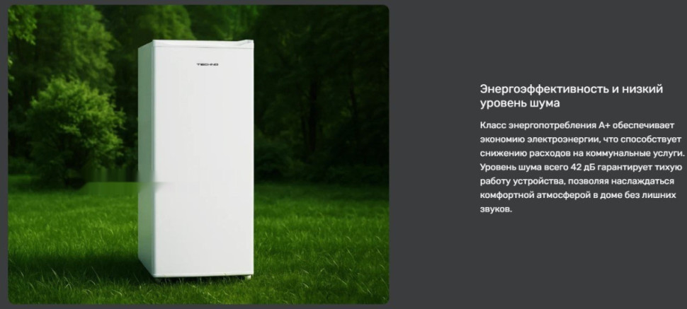 Однокамерный холодильник Techno DF1-20N