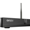 Видеорегистратор наблюдения Ginzzu HK-8402W