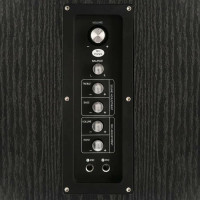 Акустическая система GMNG GG-SP600AC