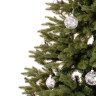 Ель GreenTerra Аляска 2.5 м