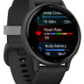 Умные часы Garmin Vivoactive 5 (черный)