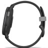 Умные часы Garmin Vivoactive 5 (черный)
