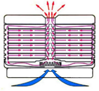 Сушилка для овощей и фруктов БелОМО 8360