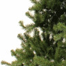 Ель Royal Christmas Promo Tree Standart Hinged PVC 240см (29240)