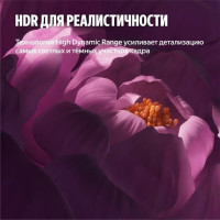 Телевизор Яндекс Яндекс ТВ Станция Бейсик QLED с Алисой 55