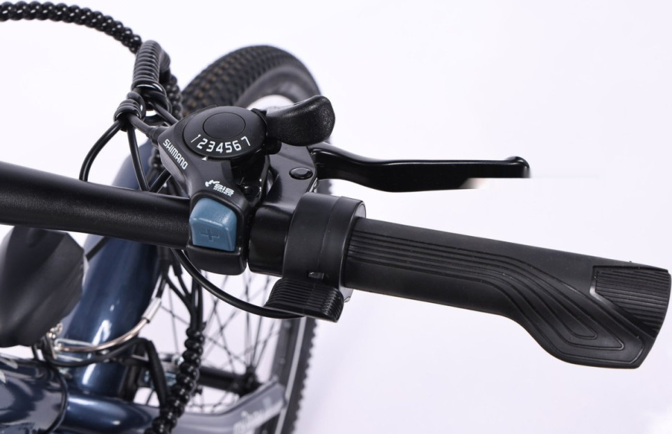 Электровелосипед MyWay Let 1.0 250 26 Pro (синий)