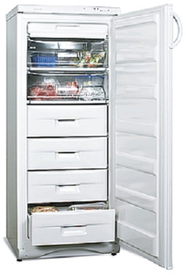 Морозильник Snaige F 245-1704AA