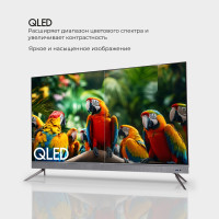 Телевизор Evolution WOSQ55MR1SBUHD