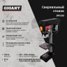 Сверлильный станок Gigant DP1016