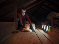 Фонарь Ryobi RLP18-0 (без АКБ)