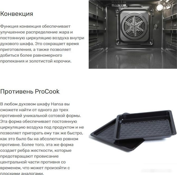 Духовой шкаф Hansa BOES684605