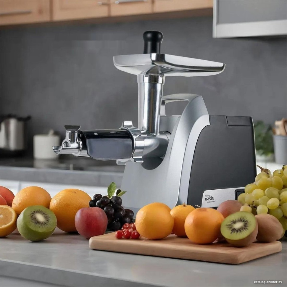 Мясорубка Making Oasis Everywhere MG-TK3