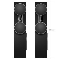 Акустическая система Ginzzu GM-325