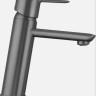 Смеситель Deante Arnika Titanium BQA D20M