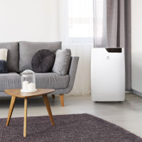 Мобильный кондиционер Electrolux Bliss Art EACM-12 GT/N6