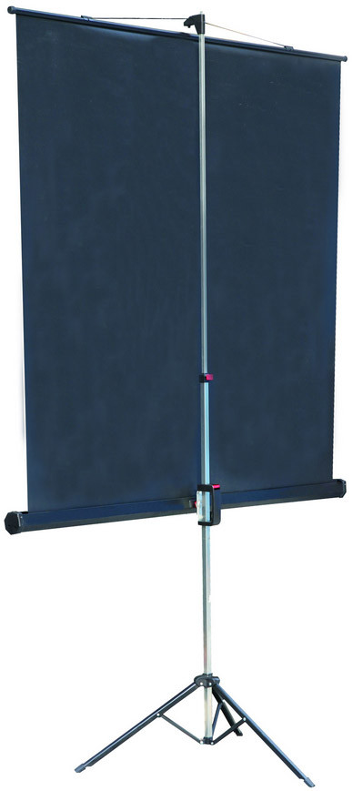 Проекционный экран Lumien Master View 128x171 (LMV-100106)