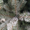 Ель GreenTerra Ариозо 2.2 м