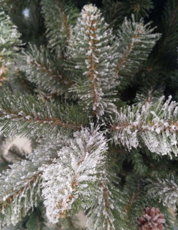 Ель GreenTerra Ариозо 2.2 м