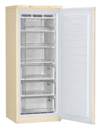 Морозильник NORDFROST DF 165 EAP