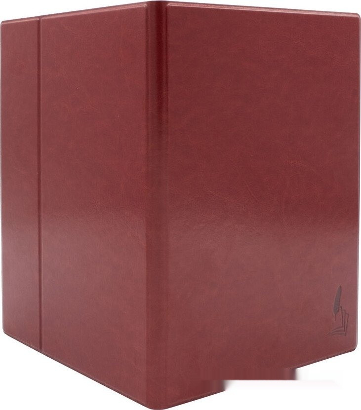 Электронная книга Onyx BOOX Lomonosov 3