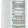 Морозильник Liebherr SIFNf 5108 Pure