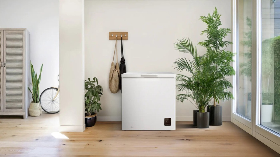 Морозильный ларь Gorenje FHC2516W5