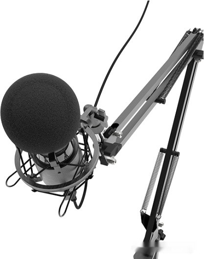 Микрофон Ritmix RDM-180