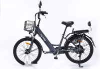 Электровелосипед MyWay Truck 500 24 (графит)