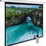 Проекционный экран Cactus MotoExpert 240x180 CS-PSME-240x180-WT