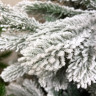 Ель GreenTerra Онтарио 2.1 м