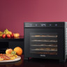 Сушилка для овощей и фруктов Rondell RDE-1750