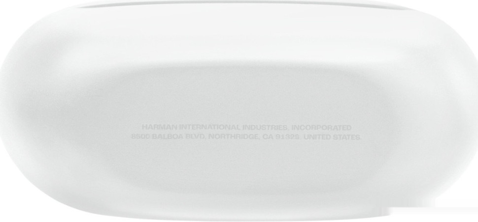 Наушники JBL Endurance Race 2 (белый)