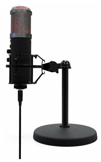 Конденсаторный микрофон Ritmix RDM-260 USB Eloquence